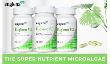 Euglena